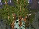 kz_man_forest