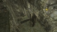 kzcl_greenclimb